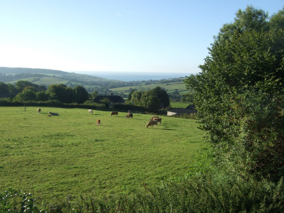 DSCF2637.JPG
