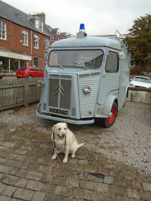 St Boswells Main Street Trading Company