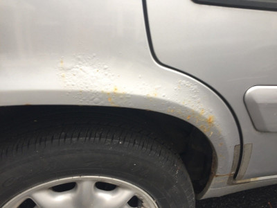 rust - R, door closed.jpg