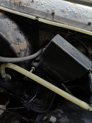 IMG_20181228_134506.jpg