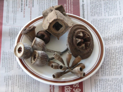 What is this-5.jpg