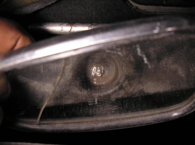 P1010004.JPG