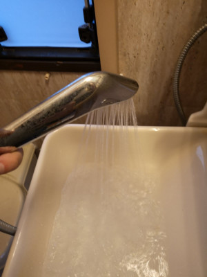 IMG_20190319_175537.jpg