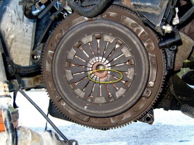 SS101607.JPG