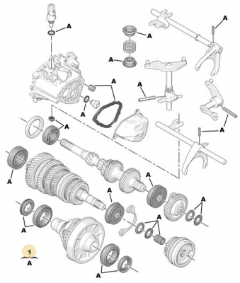 Saxo Gearbox Repair Kit.PNG