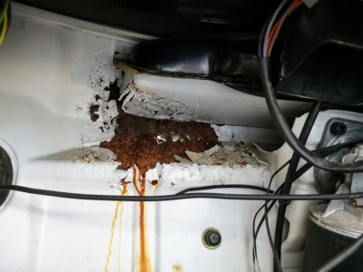 Mmm...crispy.