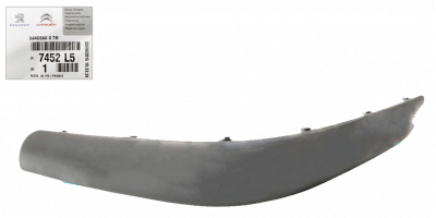 C5 bumper Trim C.png