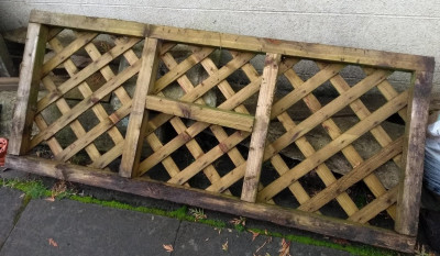 wood.jpg
