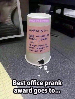 prank.jpg
