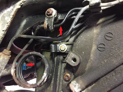 IMG_2909.JPG