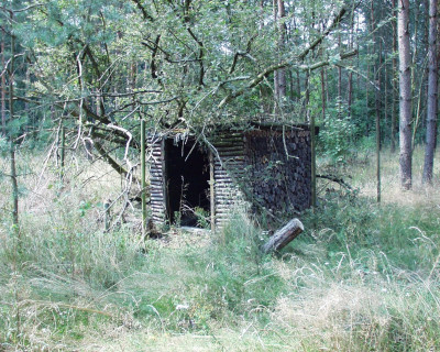 Log pile - own work