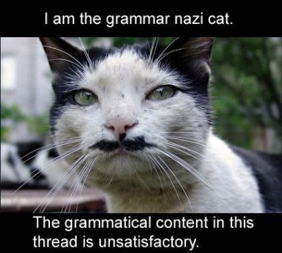 LOLcat - Grammar Nazi Cat.jpg