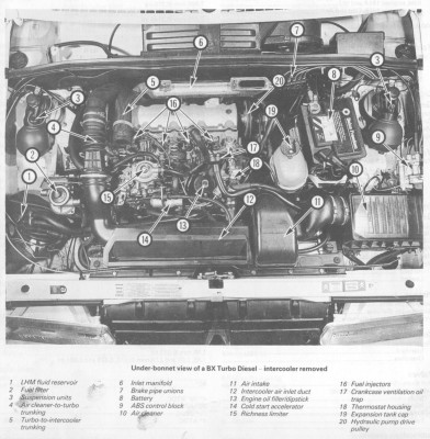 BX turbo underbonnet.jpg