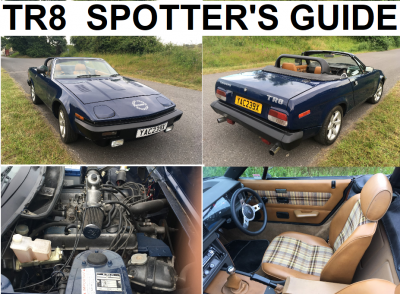 Sold at  Barons Autumn Classic 26th October 2019 for £6,270