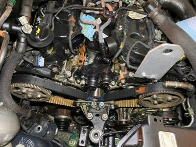 C6 Timing Belt 2.jpg