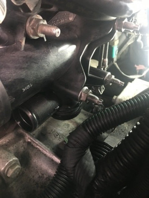 The Offending Article