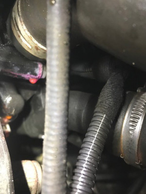 C4 coolant leak.jpg