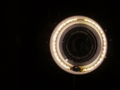 DSCF3669pflip.jpg