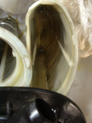 Skull's HDi post Hydraflush D filter