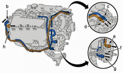 Picasso Fuel DV6TED4 Non FAP Fuel Supply B.PNG