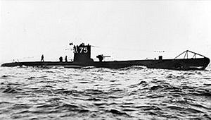 Modified from U52 Picture on Wiki.