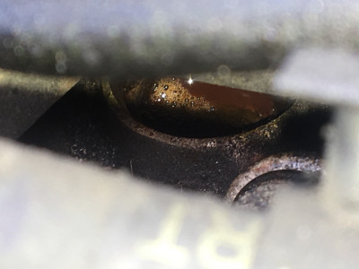 Skull’s leaky core plug