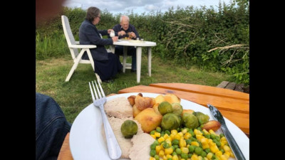 Dinner outside.jpg