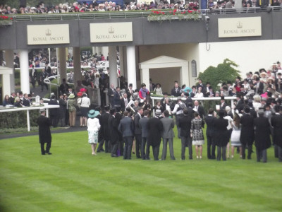 Own work.  Estimate coming into the Parade Ring, having just won the 2013 Royal Ascot Gold Cup.