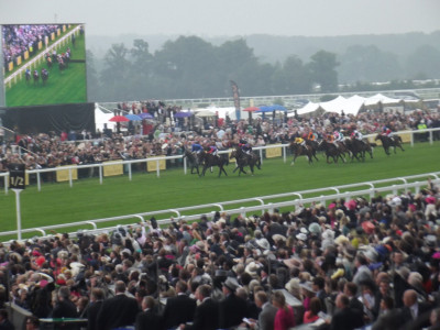 Own work.  Royal Ascot 2013, with Estimate on her way to a historic win.