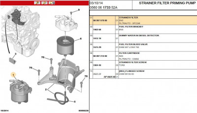 C4 Picasso 1.6HDi fuel filter.JPG