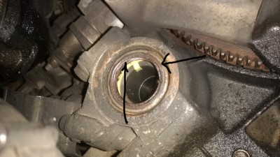 IMG_20170604_131940560.jpg