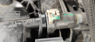 IMG_20200701_161258.jpg