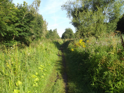 A nice long walk