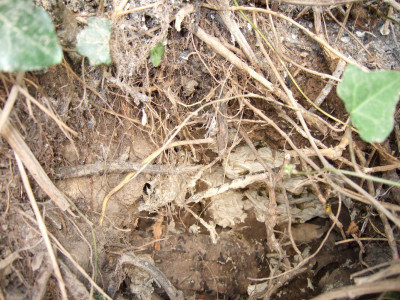 DSCF2842.JPG