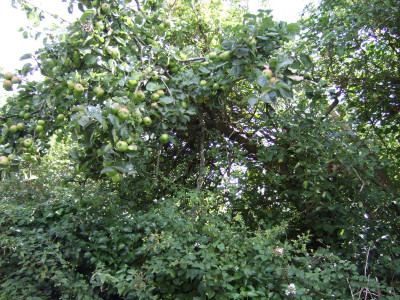 DSCF2853.JPG