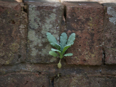 AA070169.JPG