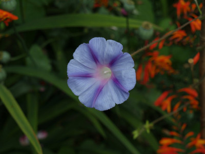 AA090178.JPG