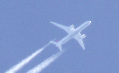 a rather gorgeous ethereal photo if I say so myself!<br />er looks like it has a red tail!