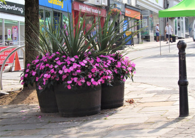 Floral1.JPG