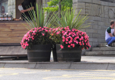 Floral2.JPG