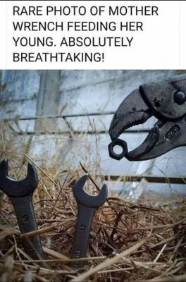 Spaner.jpg