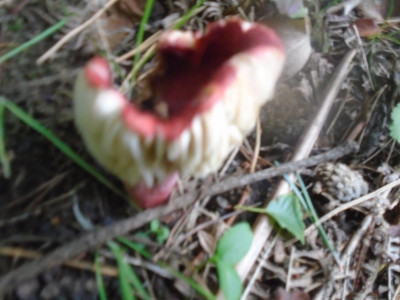 DSC03674.JPG