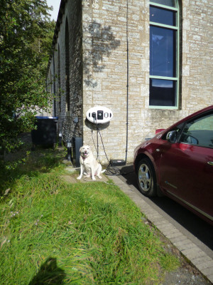 BB leaf at the charger Bowlees Visitor Centre