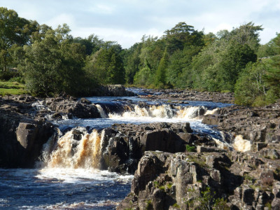 Low Force on the Tees