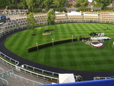 East side of the Parade Ring, with 'Yeats' where he deserves to be.