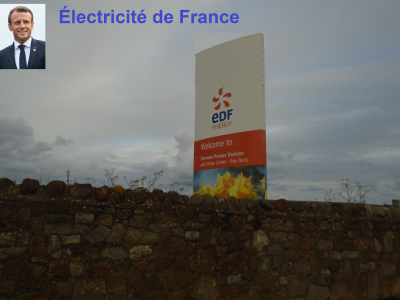 Wonder who owns Électricité de France?