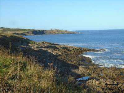 The Coast