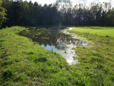 AA010267.JPG