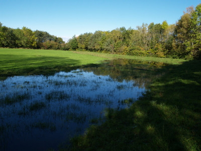 AA010270.JPG