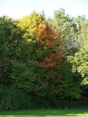 AA010266.JPG